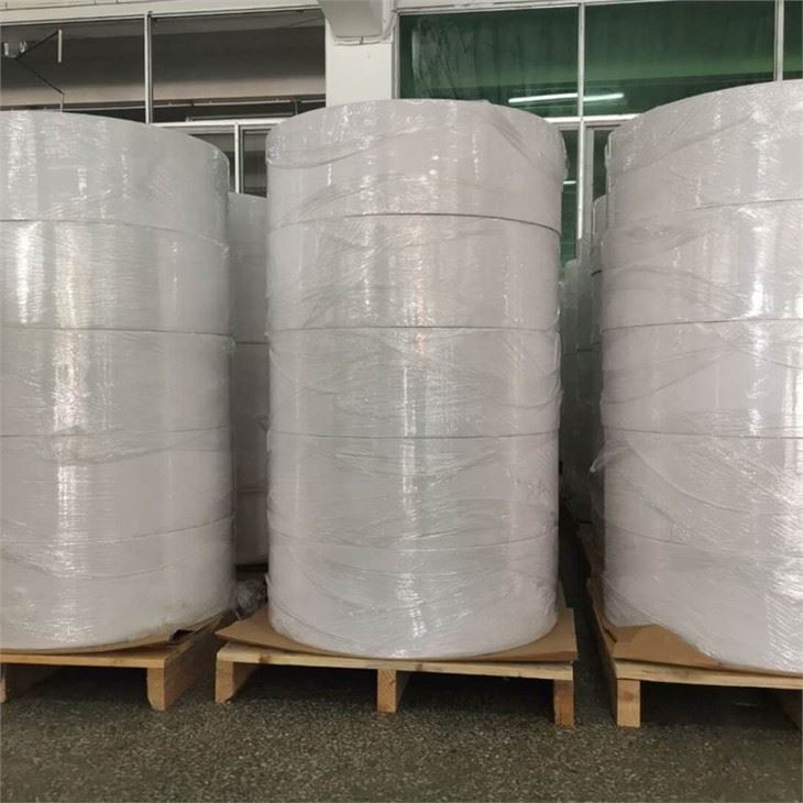 Semi-gloss Coated Label Jumbo Roll