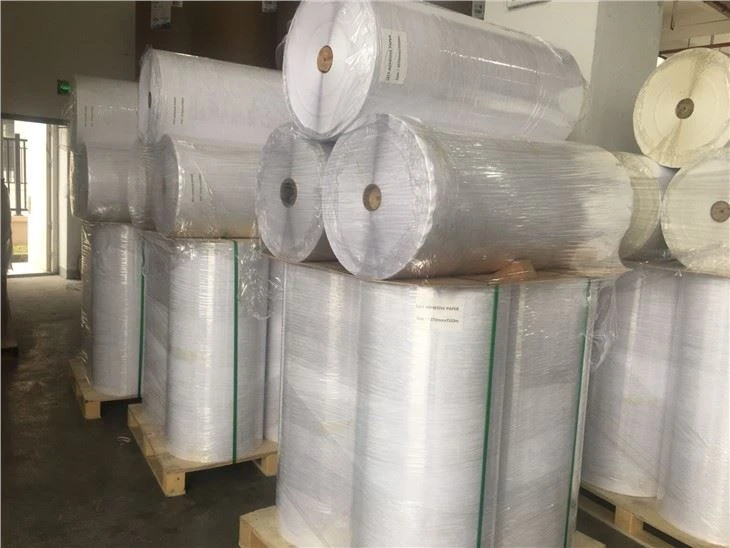 Semi-gloss Coated Label Jumbo Roll
