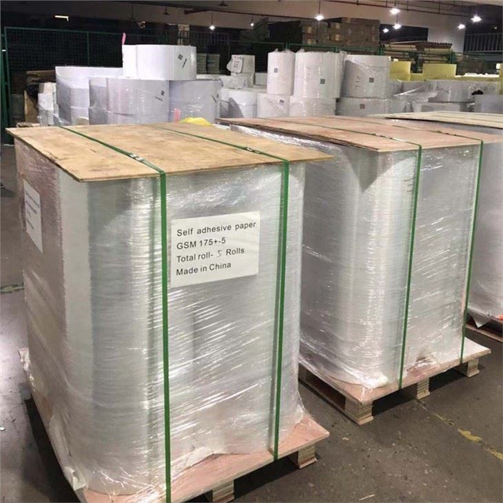 Semi-gloss Coated Label Jumbo Roll