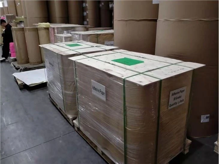 Semi-gloss Coated Label Jumbo Roll
